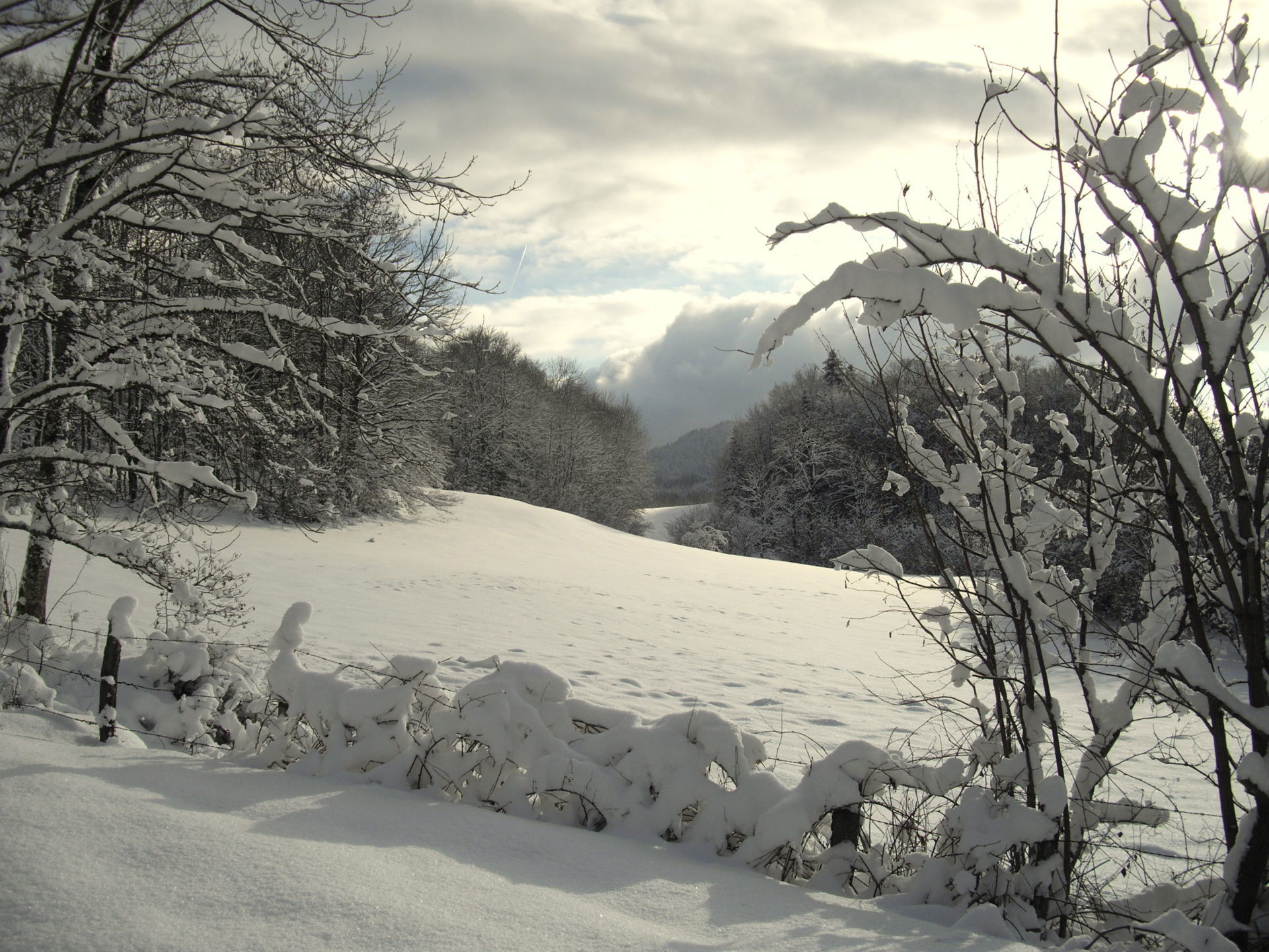 paysage d'hiver chemin du lac